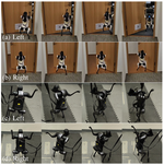 Leveraging Symmetry in RL-based Legged Locomotion Control